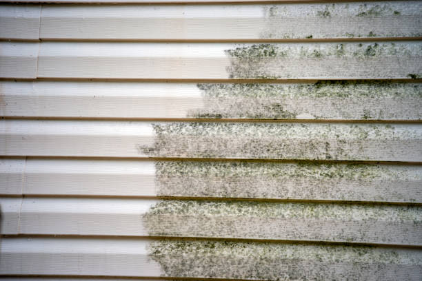 Best Carpet Removal and Disposal  in East Brewton, AL
